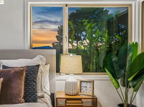 6545 Alta Vista Dr, El Cerrito CA 94530