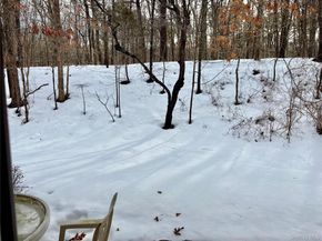 9 Willow Ct 9, Selden NY 11784