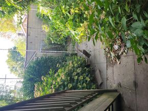 4425 Richardson Avenue, Bronx NY 10470