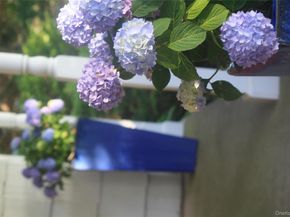 5845 E Bridge Lane NE, Cutchogue NY 11935