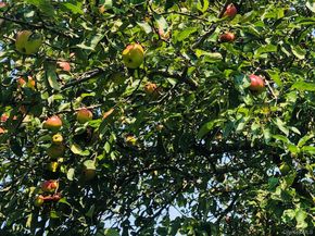 5845 E Bridge Lane NE, Cutchogue NY 11935