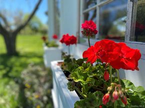 5845 E Bridge Lane NE, Cutchogue NY 11935