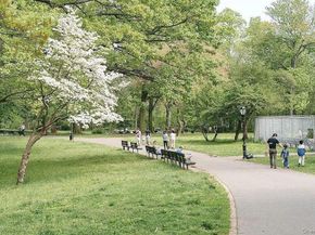 5423 153rd Street, Flushing NY 11355