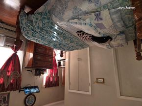 447 Logan Street, Brooklyn NY 11208