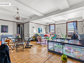 41 Eastern Parkway 12E, Brooklyn NY 11238