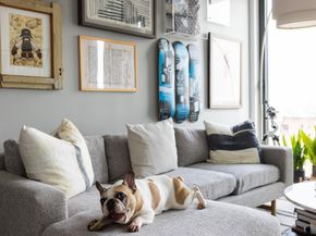 805 Washington Avenue 7A, Brooklyn NY 11238