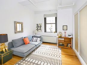 365 Bridge Street 2P, Brooklyn NY 11201