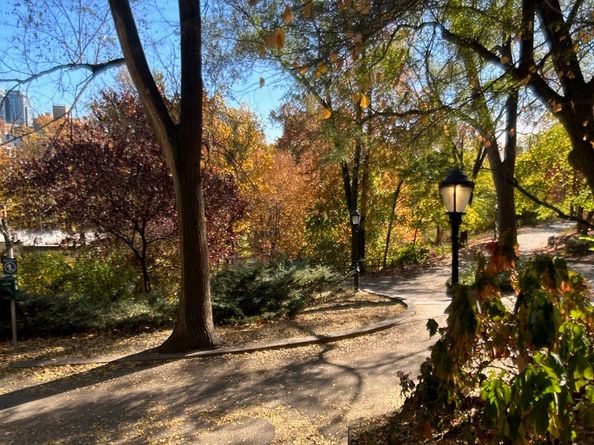 501 West 122nd Street A2, New York NY 10027