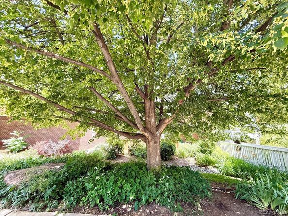 1111 Maxwell Avenue 228, Boulder CO 80304