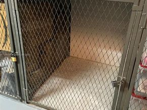 16300 Golf Club Rd 504, Weston FL 33326