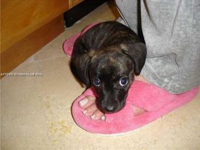 6450 Collins Ave 703, Miami Beach FL 33141