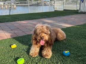 3600 Mystic Pointe Dr 309, Aventura FL 33180