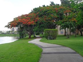 7360 S Oriole Blvd 806, Delray Beach FL 33446