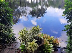 113 NW 73rd Ter, Plantation FL 33317