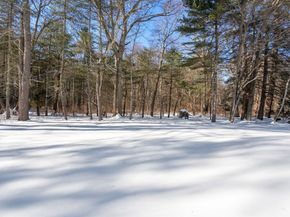 62 Claybrook Road, Dover MA 02030