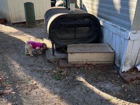 235 New Yorker Avenue, Chelmsford MA 01824