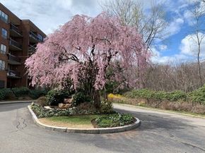 210 Nahanton St 520, Newton MA 02459