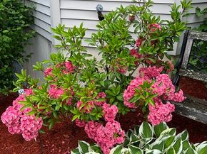 31 Glen Echo Shore Rd, Charlton MA 01507