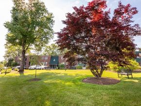 1202 Greendale Avenue 124, Needham MA 02492