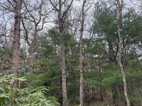 75 Newton St, Northborough MA 01532