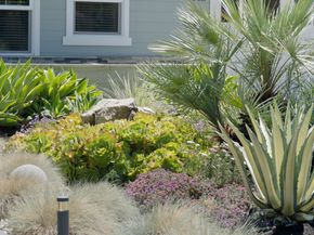 1052 Mcbain Avenue, Campbell CA 95008