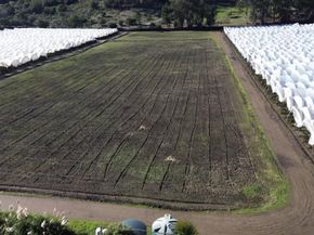 389 Corralitos Road, Watsonville CA 95076