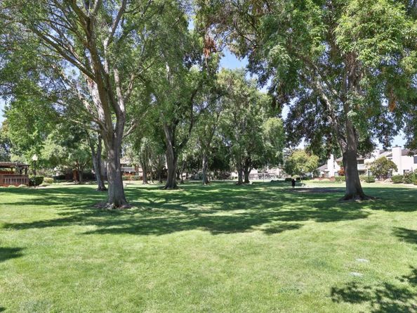 6628 Wildwood Court, San Jose CA 95120