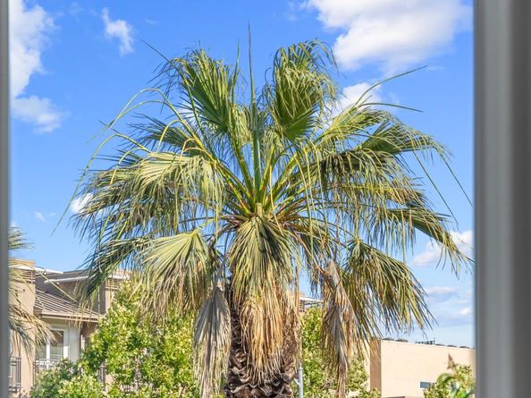 1469 W San Carlos Street, San Jose CA 95126