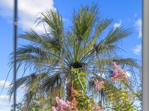 1469 W San Carlos Street, San Jose CA 95126