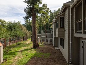 244 Bonita Road, Portola Valley CA 94028