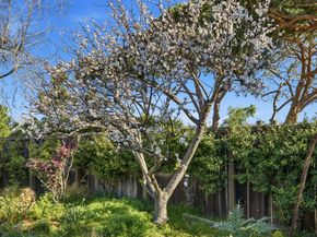 572 Seahorse Lane, Redwood Shores CA 94065