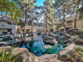 2175 Summerton Drive
