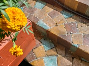 709 Minnesota Avenue, San Jose CA 95125