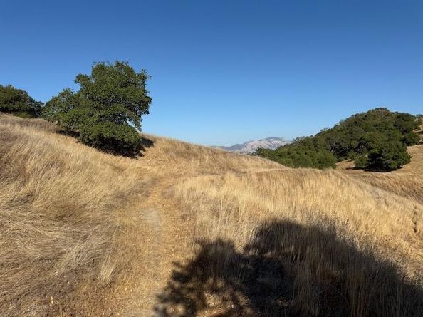 575 Morecroft Road, Lafayette CA 94549