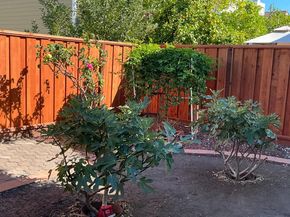 1496 Bellemeade Street, San Jose CA 95131