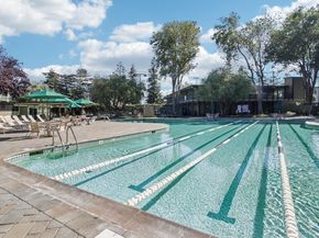 815 N Humboldt Street 508, San Mateo CA 94401