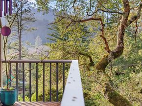 2203 Quail Hollow Road, Ben Lomond CA 95005