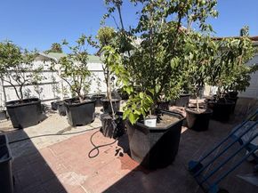 198 S Cragmont, San Jose CA 95127