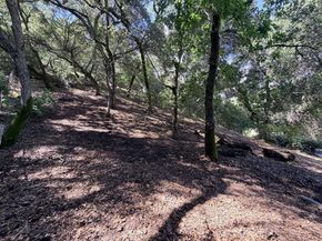 1880 Hollyhock Lane, Gilroy CA 95020
