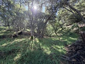 1880 Hollyhock Lane, Gilroy CA 95020