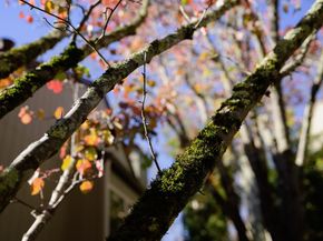 111 Bean Creek Road 156, Scotts Valley CA 95066