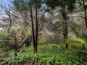 239 San Juan Avenue, El Granada CA 94018