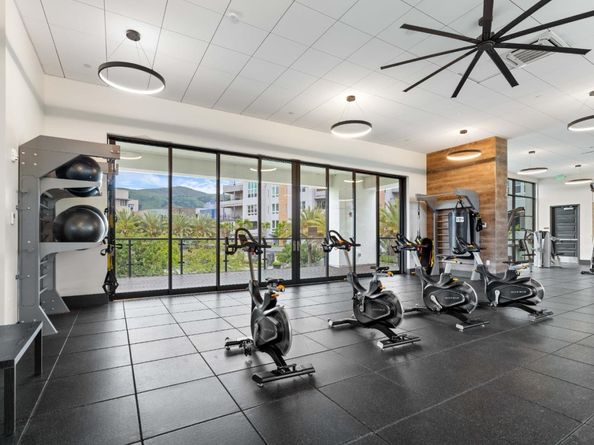 45128 Warm Springs Boulevard 523, Fremont CA 94539