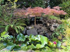 2513 225th Place NE, Sammamish WA 98074