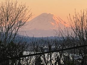 11737 Lakeside Avenue NE, Seattle WA 98125