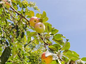 4540 NW Inverness Court, Bremerton WA 98312