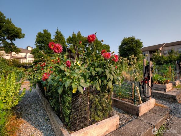 4222 221st Place SE 1081, Issaquah WA 98029