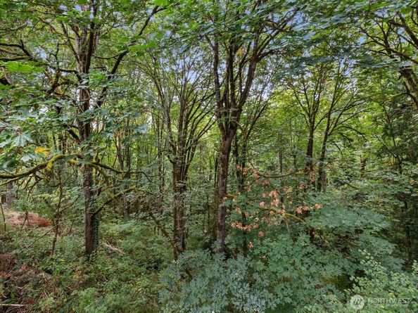 14244 NE 80th Place, Redmond WA 98052