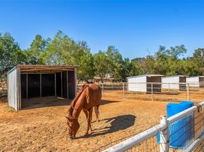 8771  Fm 2931  , Pilot Point Texas 76258