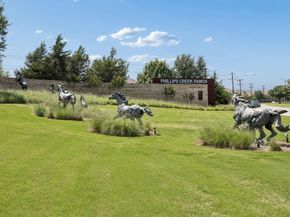 8218  Haltered Horse Lane , Frisco Texas 75036